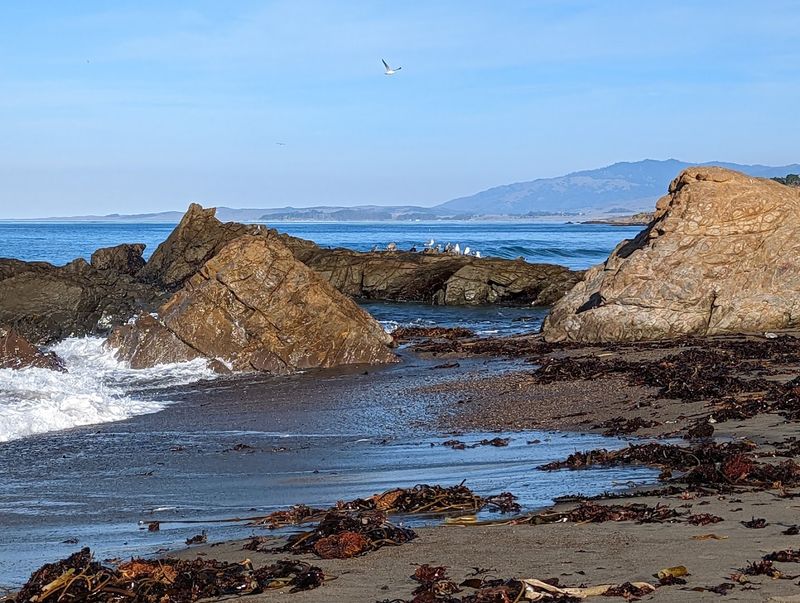 Tide Pools Add A Second Reason To Stop