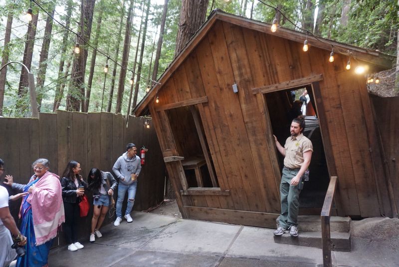 12 Quirky California Museums That Will Leave You Scratching Your Head - Decor Hint Santa Cruz Mystery Spot, Santa Cruz