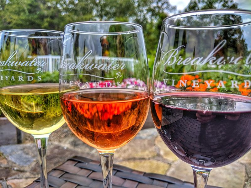 Breakwater Vineyards