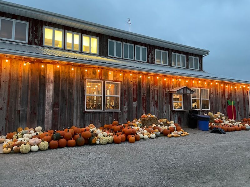 Wilson's Orchard & Farm (Iowa City)
