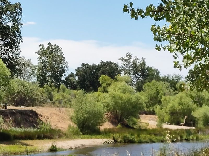 These 10 Waterfront Campgrounds In California's Central Valley Are Ideal For Spring Weekends - Decor Hint George J. Hatfield Campground