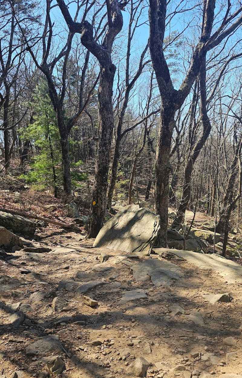 Horseback Riding Through Rugged Wilderness