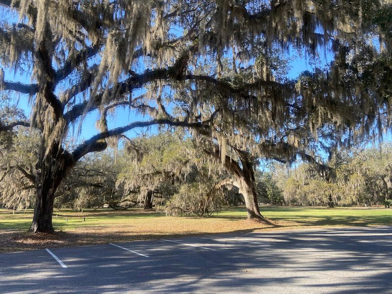 13 Historic Plantations In Georgia That'll Transport You To Another Time - Decor Hint Hofwyl-Broadfield Plantation
