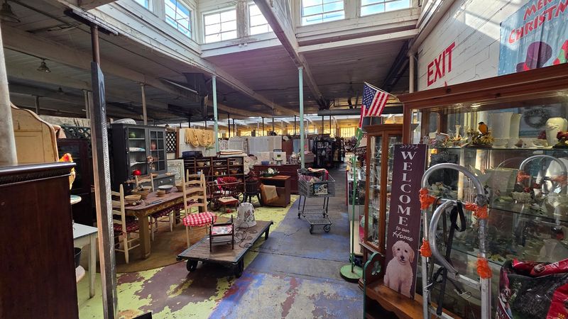 Treasure Hunting