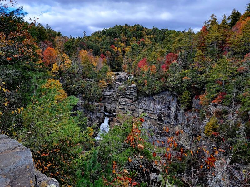 Pisgah National Forest