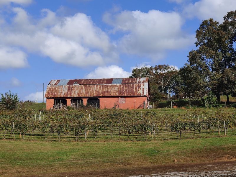 Three Sisters Vineyards and Winery