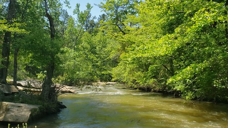 Line Creek Nature Area for Peaceful Escapes