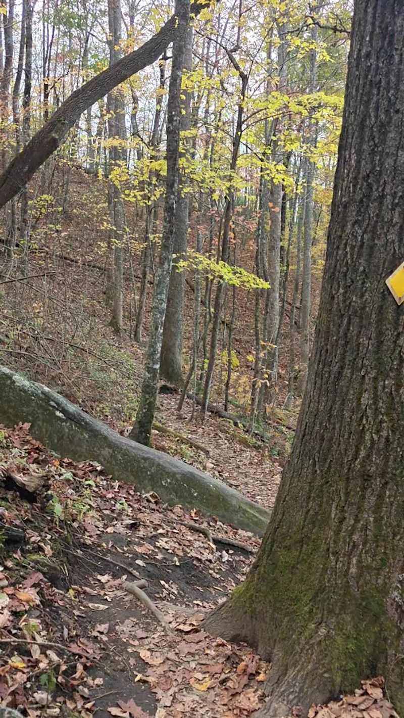 Named After A Historically Significant Geological Feature