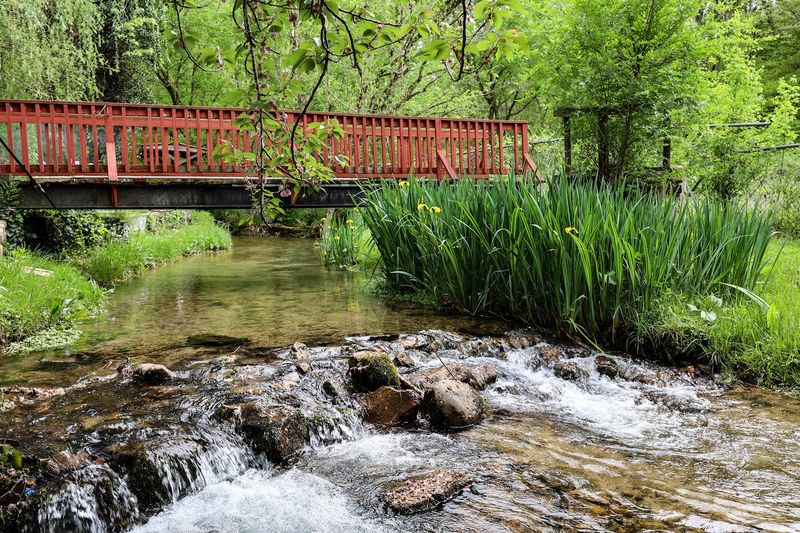Spring-Fed Ponds That Make The Difference