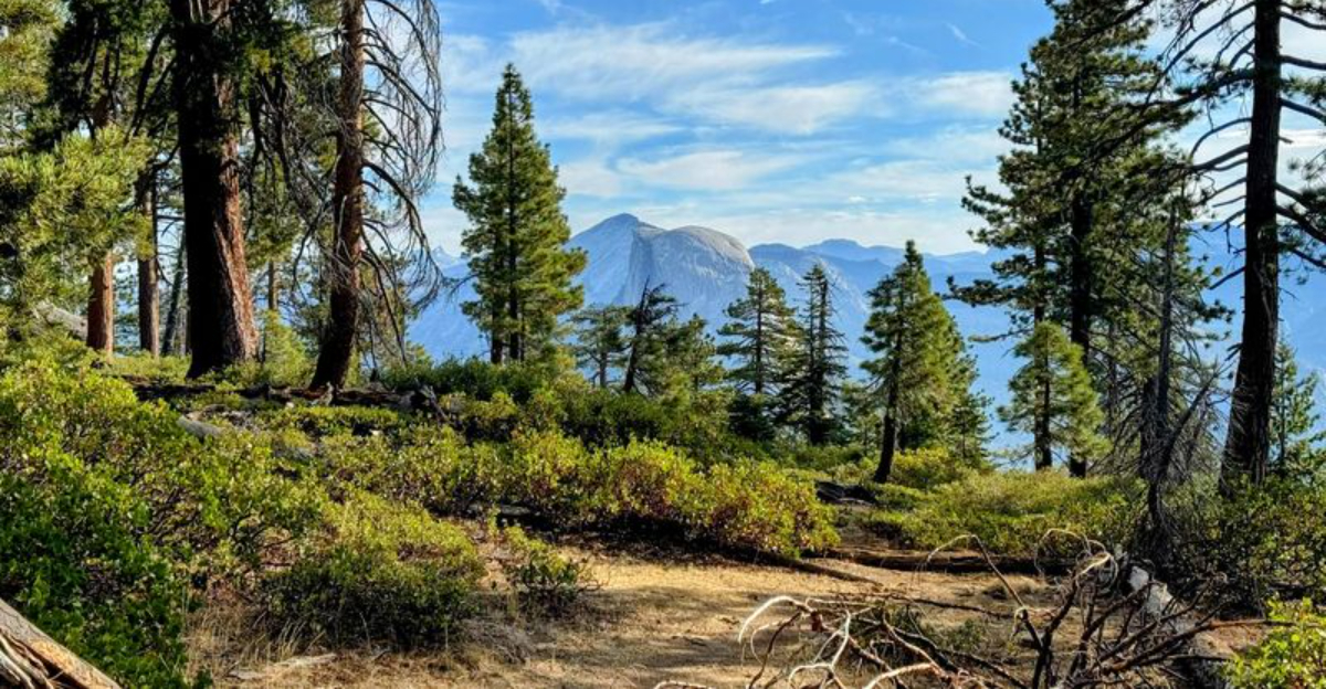 You Havent Explored California Until Youve Hiked This 2.2 Mile Trail With Million Dollar Vistas - Decor Hint