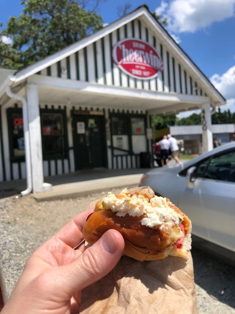 These 10 North Carolina Hot Dog Stands Still Serve Secret Chili Slaw Recipes From The Fifties - Decor Hint J.S. Pulliam Barbeque