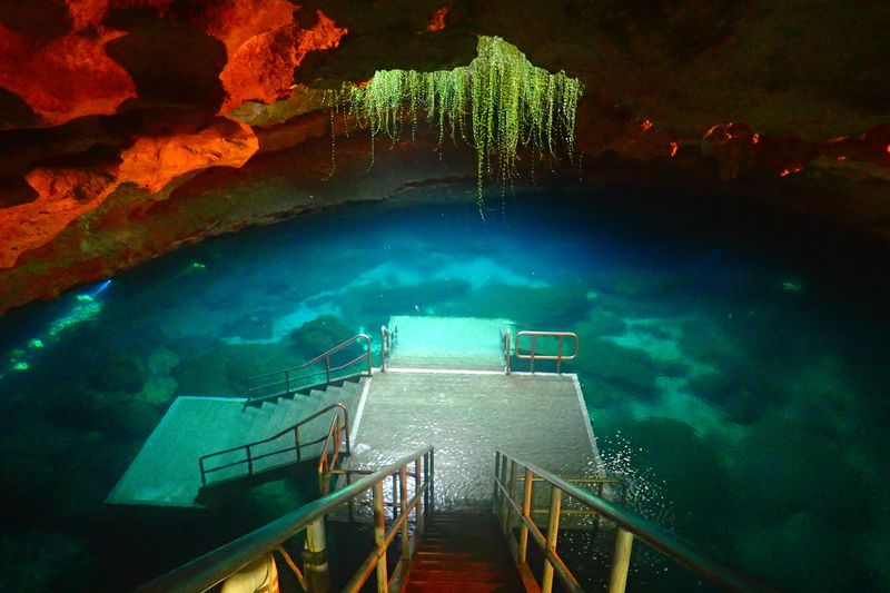 10 Beautiful Florida Spots That Rarely Make The Travel Guides - Decor Hint Devil's Den Prehistoric Spring