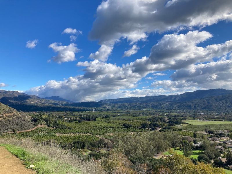 Ojai - Shelf Road Trail, Downtown Ojai, and The Dutchess