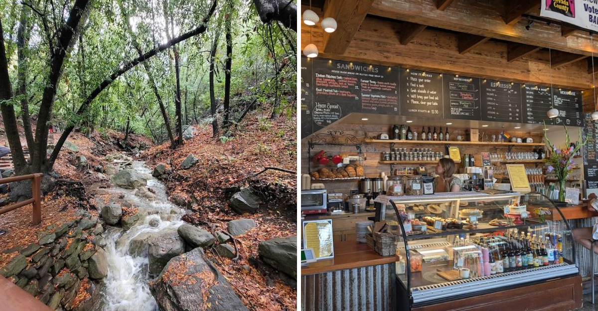 10 California Day Trips That Mix Nature Small Towns And One Really Good Meal This May - Decor Hint