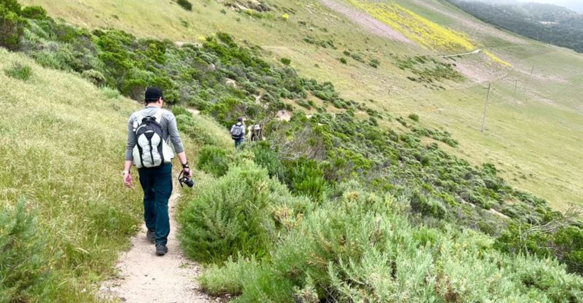 10 California Walking Trails That Feel Peaceful Even On Busy Weekends - Decor Hint