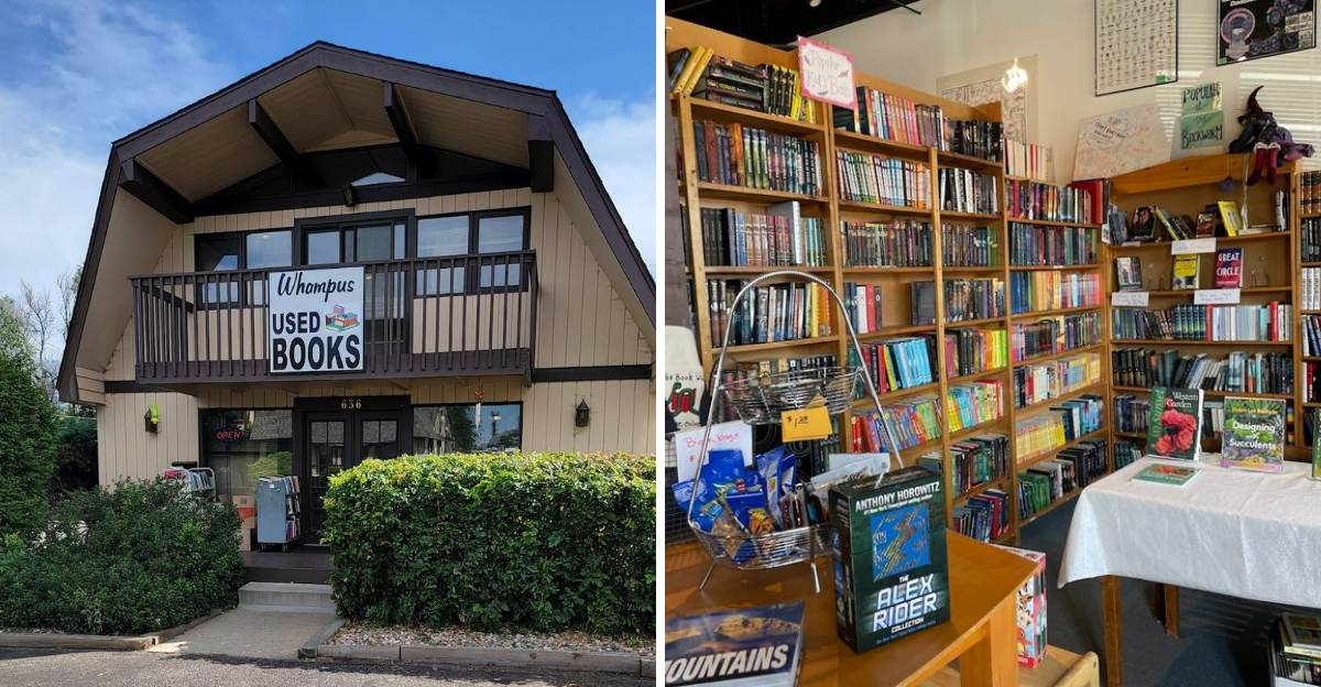 10 Colorado Bookstores Where Every Visit Leads To New Discoveries - Decor Hint