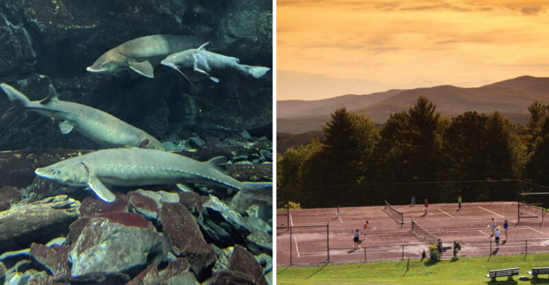 10 Incredible Places In Vermont Everyone Should Visit At Least Once