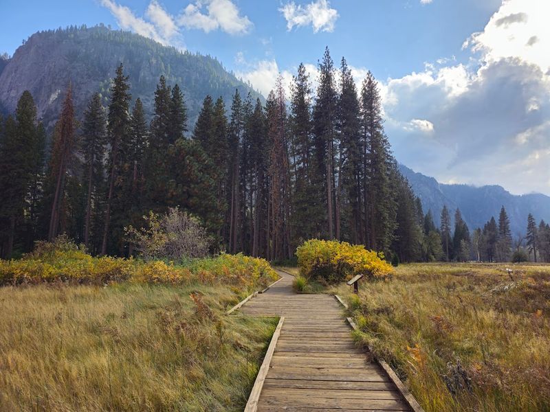 Cook's Meadow Loop, Yosemite National Park
