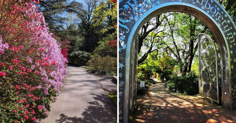 10 North Carolina Gardens With Coffee And Treats Nearby