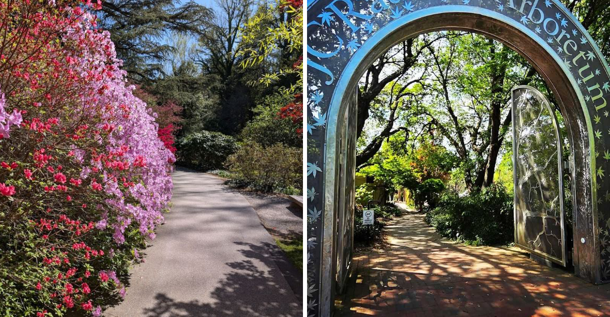 10 North Carolina Gardens With Coffee And Treats Nearby 2 - Decor Hint