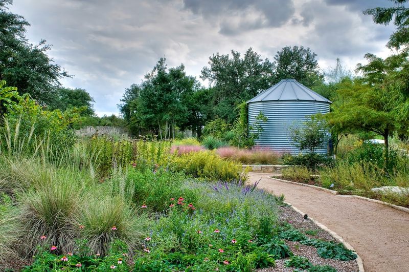 Lady Bird Johnson Wildflower Center