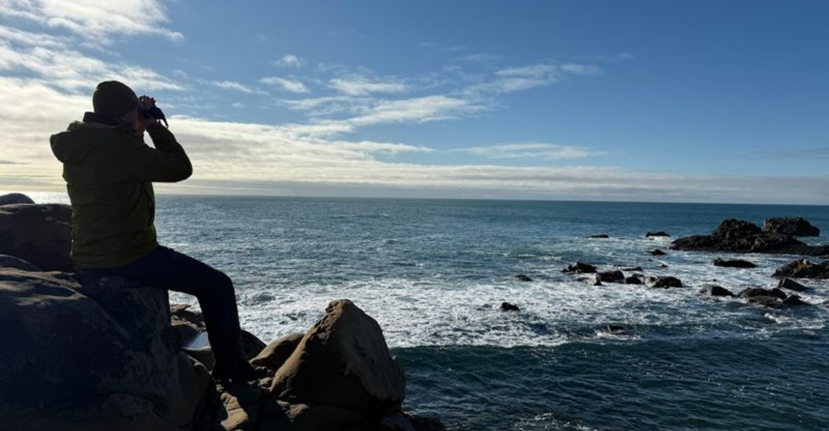 11 California Picnic Places With Ocean Views And Plenty Of Quiet - Decor Hint