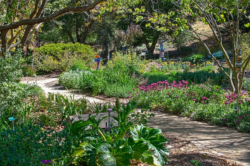 San Luis Obispo Botanical Garden