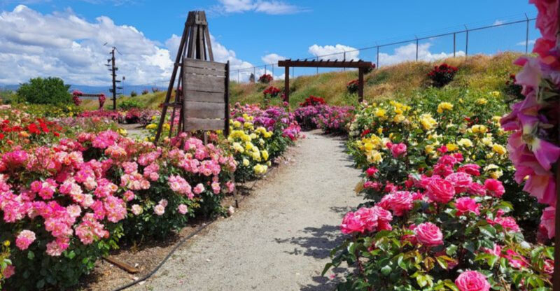 11 Central California Garden Spots That Feel Peaceful The Second You Arrive