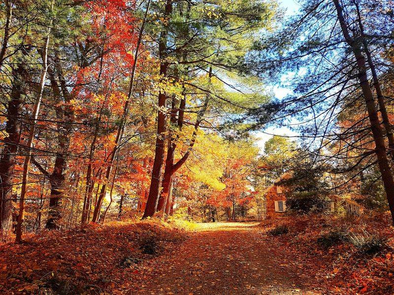 Putnam Memorial State Park, Redding