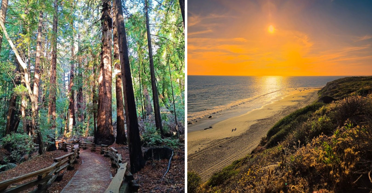 12 California Places Where The Scenery Looks Expensive But The Outing Does Not - Decor Hint