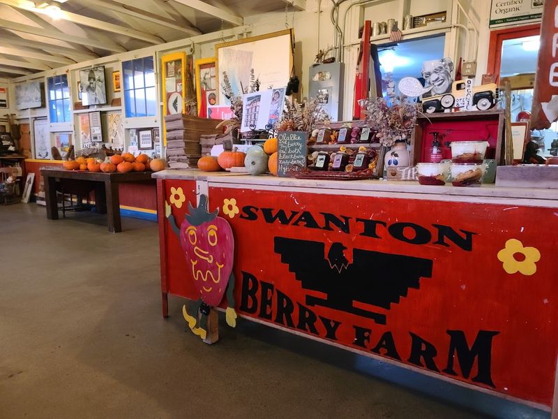 Davenport Coast For Berry Farm Pie And Jam