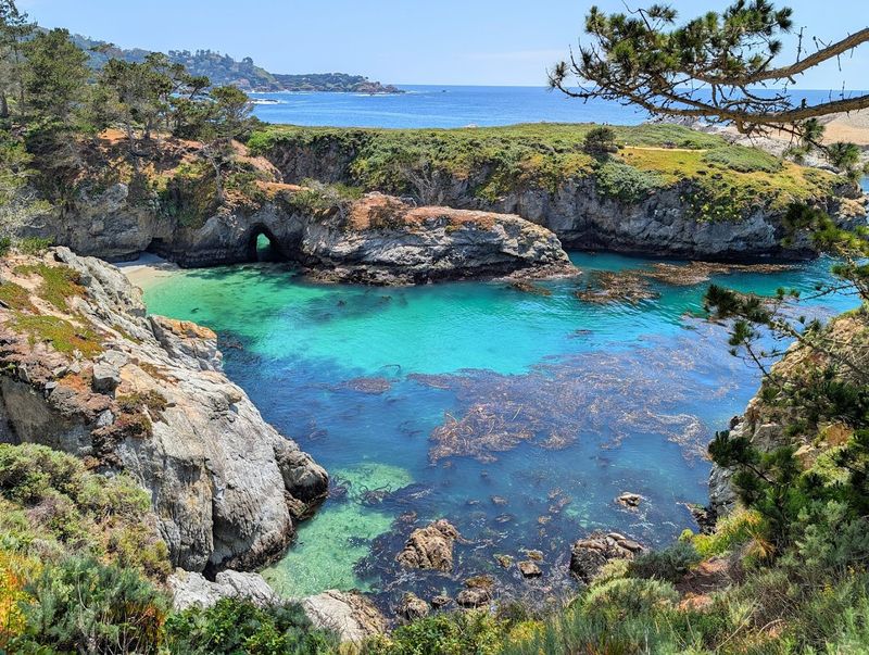 Point Lobos State Natural Reserve, Carmel-by-the-Sea