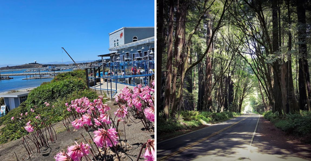 12 Weekend Drives In California That Pair Good Scenery With Even Better Food - Decor Hint