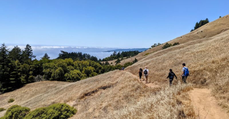 13 California Trails Where The View Changes Completely By The End