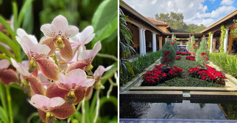 13 Florida Flower Gardens So Breathtaking This Spring That Visiting All Of Them Suddenly Feels Like A Reasonable Plan