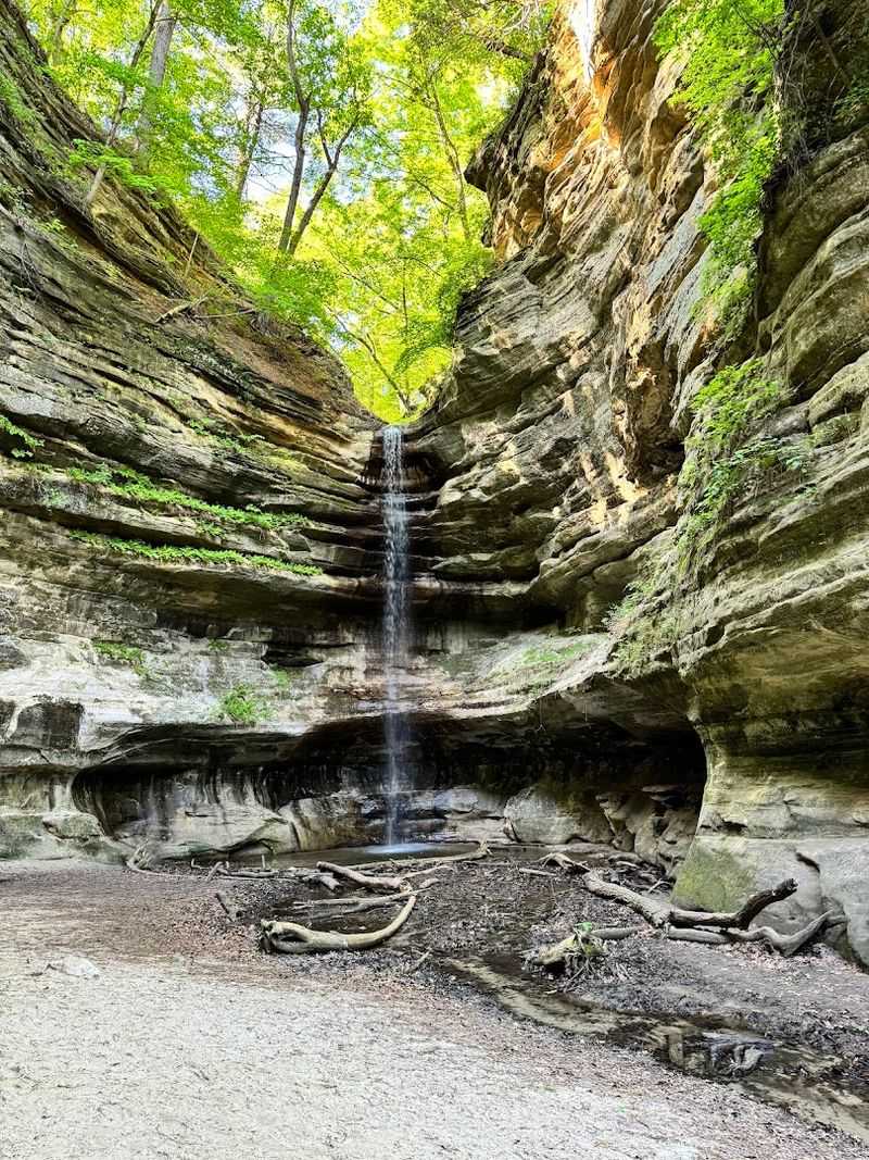 13 Illinois Day Trips That Offer Amazing Scenery For Less Than $65 - Decor Hint Starved Rock State Park