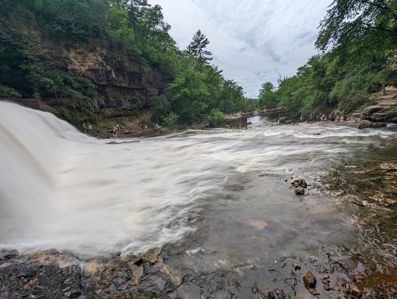 A Visit To This Wisconsin State Park Feels Like Entering A Fairytale World - Decor Hint Wildlife Watching That Actually Delivers