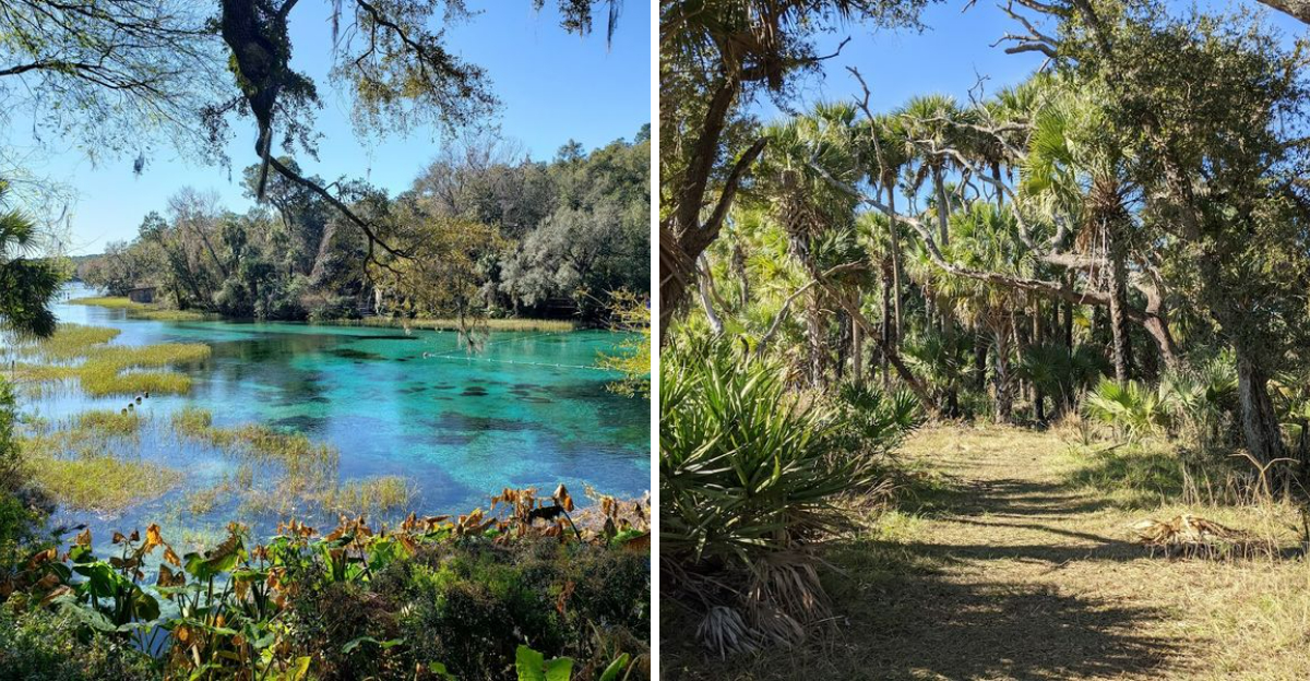 14 Breathtaking Florida Nature Spots You Need To See At Least Once - Decor Hint