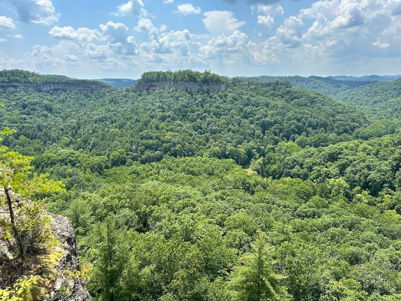 Chimney Top Rock Trail