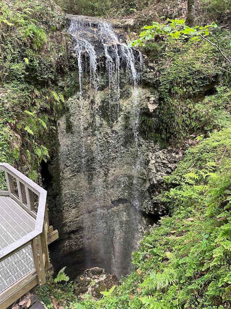 Falling Waters State Park