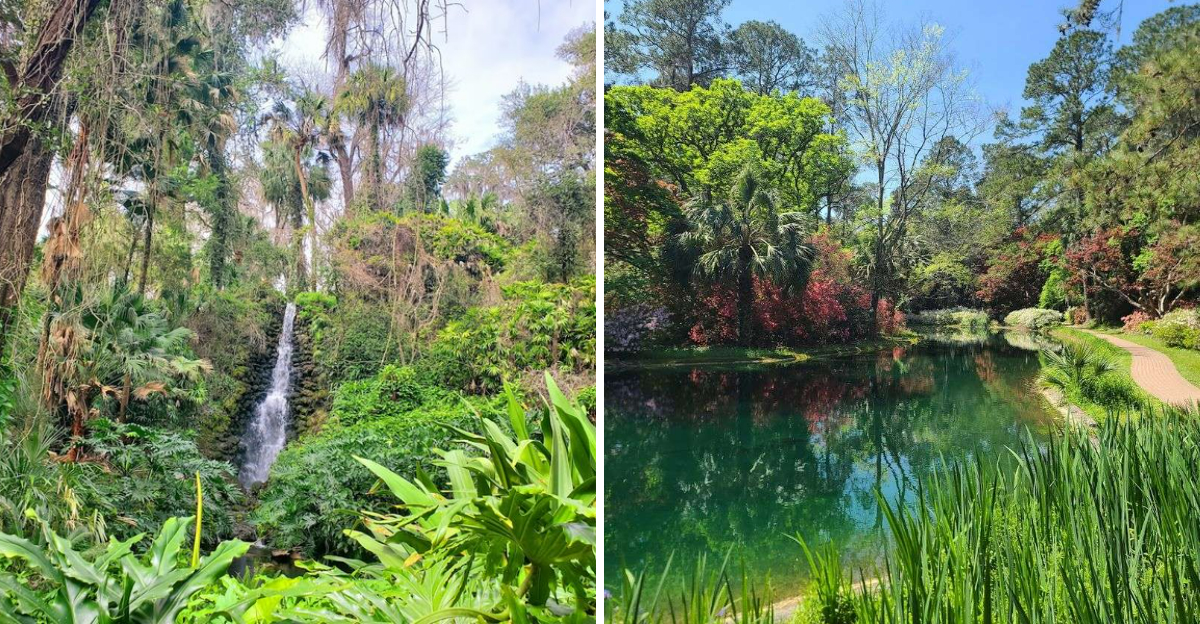 14 Florida Waterfalls That Deserve A Spot On Your Travel List - Decor Hint
