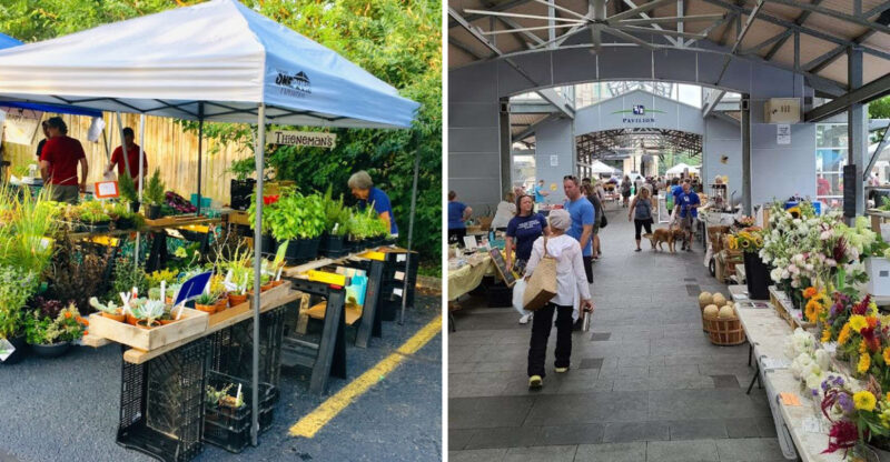 14 Kentucky Farmers Markets That Are Worth Setting Your Alarm For This Summer