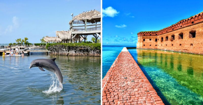 14 Scenic Spots In The Florida Keys That Deserve A Spot On Your Itinerary