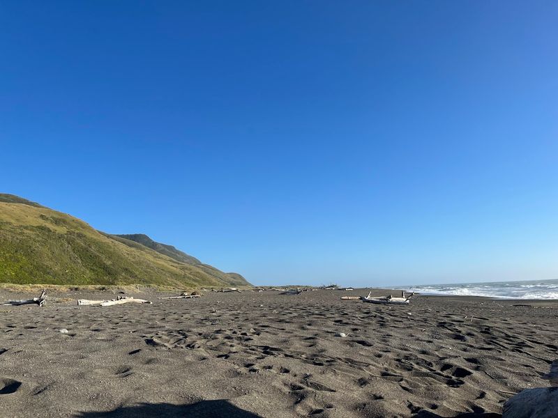 Mattole Beach, Petrolia