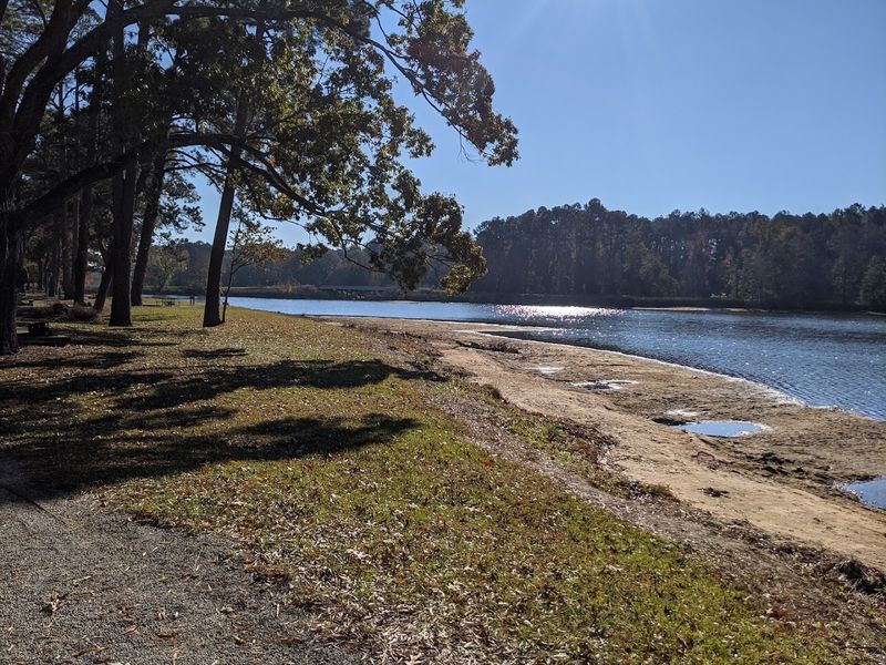 Beach At Georgia Veterans State Park