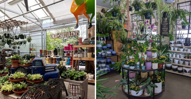 16 Garden Shops In Kentucky That Are Worth A Spring Road Trip