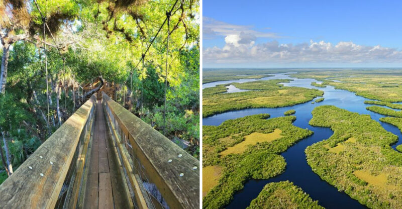 18 Florida Attractions That Deserve Just As Much Attention As Disney