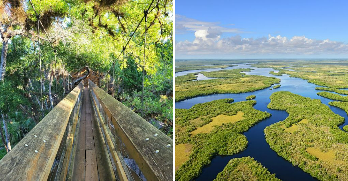 18 Florida Attractions That Deserve Just As Much Attention As Disney - Decor Hint