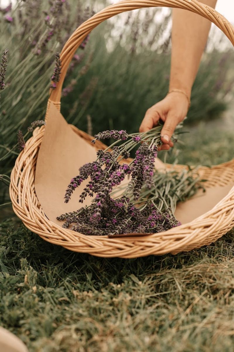 You-Pick Bouquets And The Joy Of Slowing Down