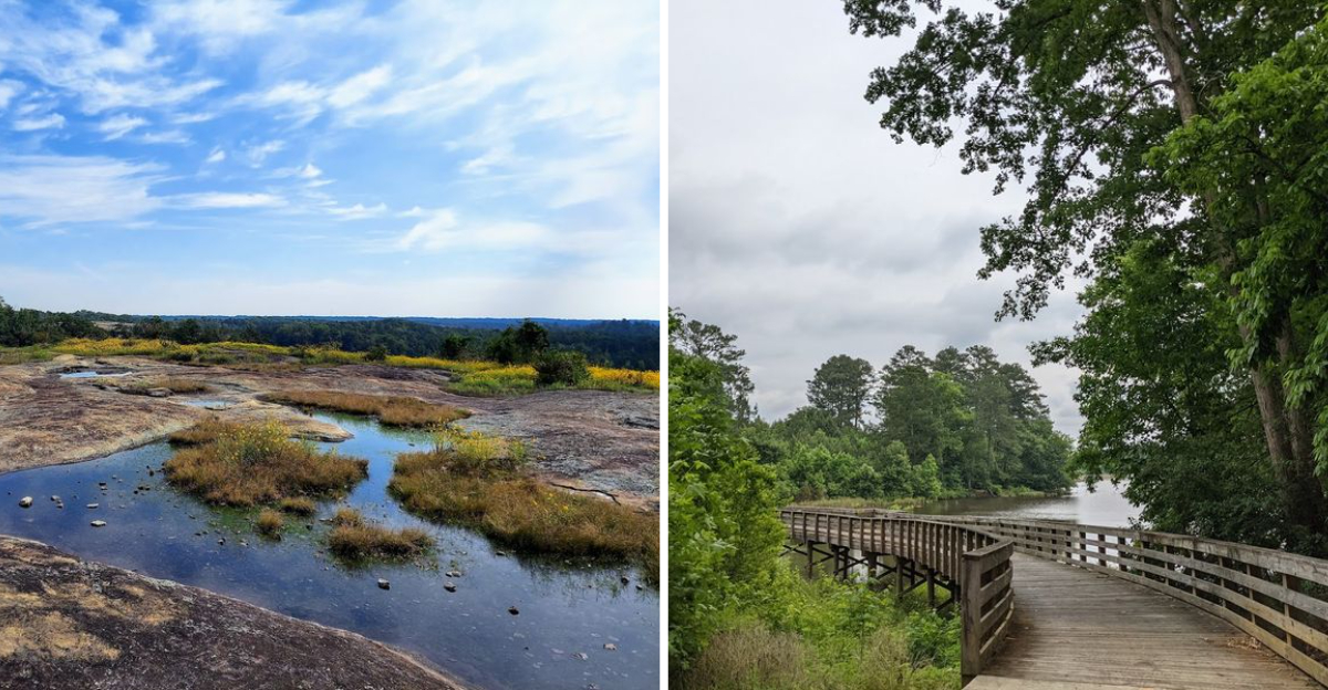2026 Pet Adventure Guide 15 Georgia Trails Offering Perfect Weekend Experiences For Dogs - Decor Hint